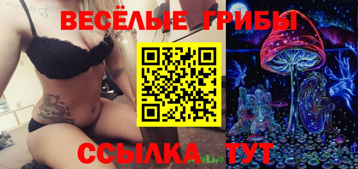 Псилоцибиновые грибы MAGIC MUSHROOMS  Вход с VPN  Галлюциногенные грибы MAGIC MUSHROOMS  магазин  наркотиков  Анжеро-Судженск 